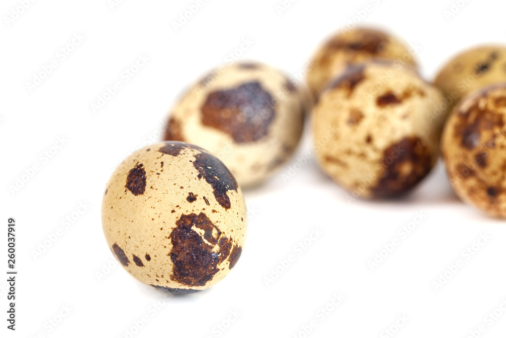 quail eggs isolated on white background. close up quail eggs isolated on white background. close up