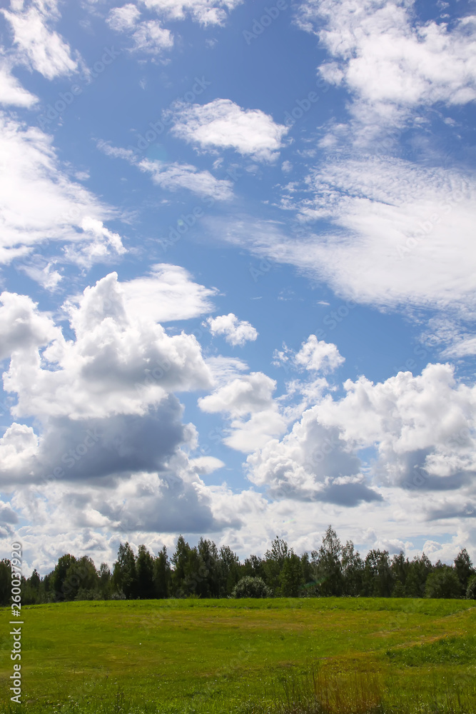 Summer landscape in Latvia, East Europe