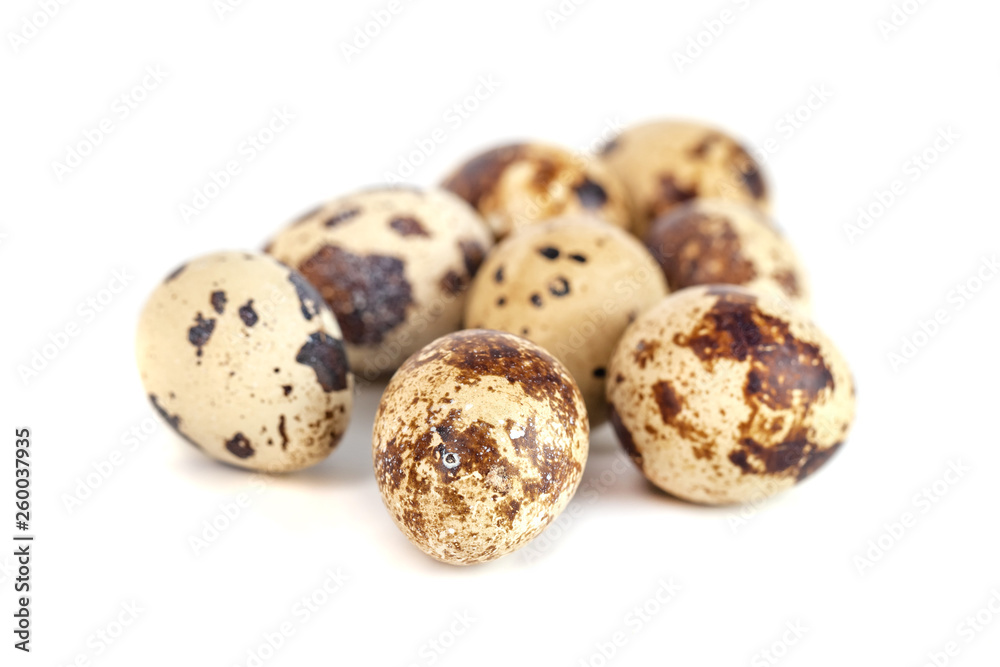 quail eggs isolated on white background. close up quail eggs isolated on white background. close up