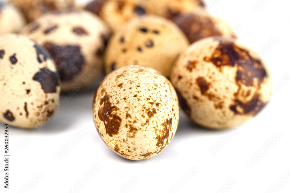 quail eggs isolated on white background. close up quail eggs isolated on white background. close up