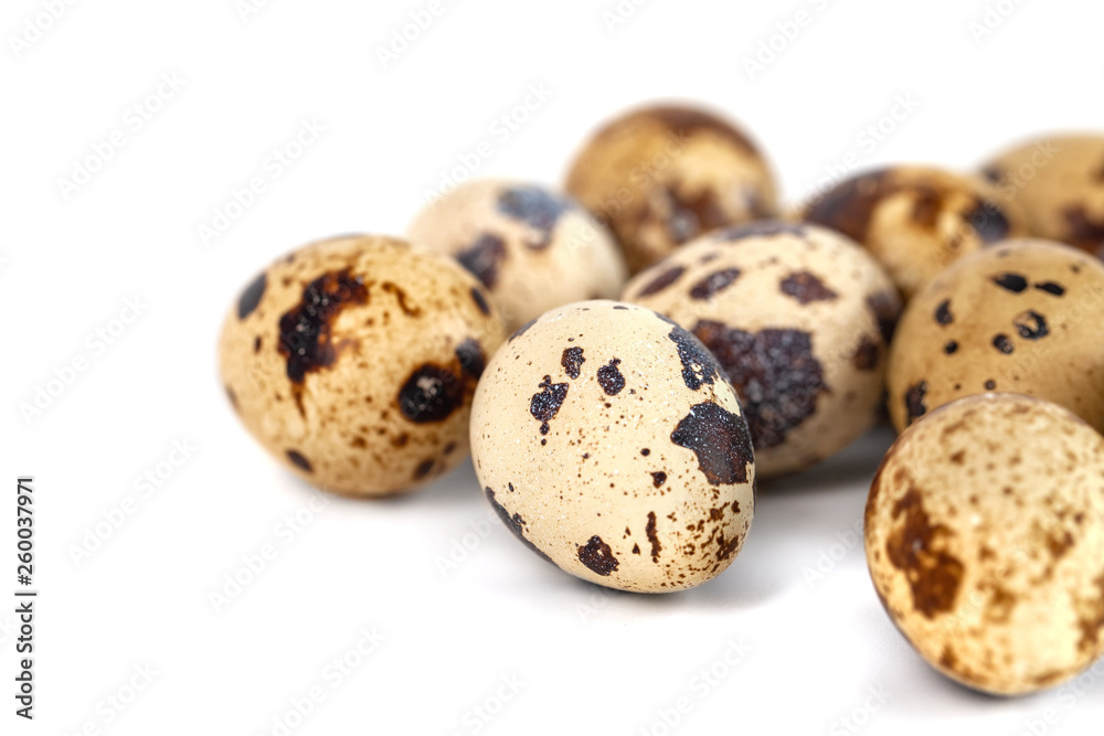 quail eggs isolated on white background. close up quail eggs isolated on white background. close up