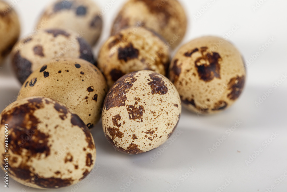 quail eggs isolated on white background. close up quail eggs isolated on white background. close up