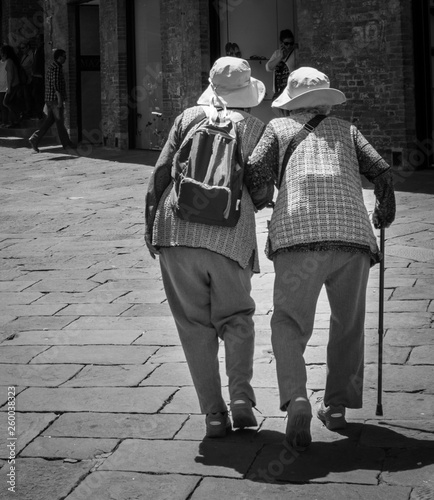 Frail Japanese Ladies Touring Italy
