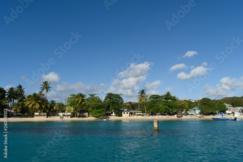 Barbados beach view St James © Simon