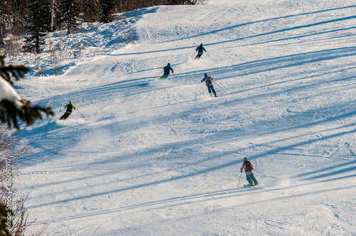 A group of skiers riding through the forest on a sunny morning on a ski resort