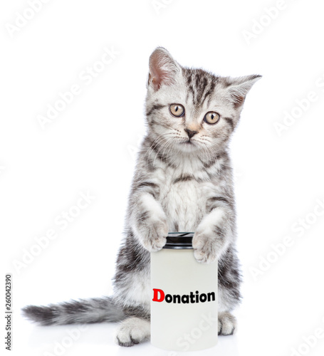 Kitten with a donation can, asking money for charity, looking at camera. isolated on white background