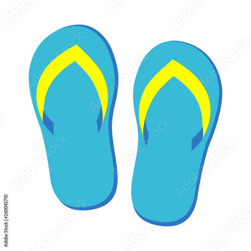 pair flip flops vector