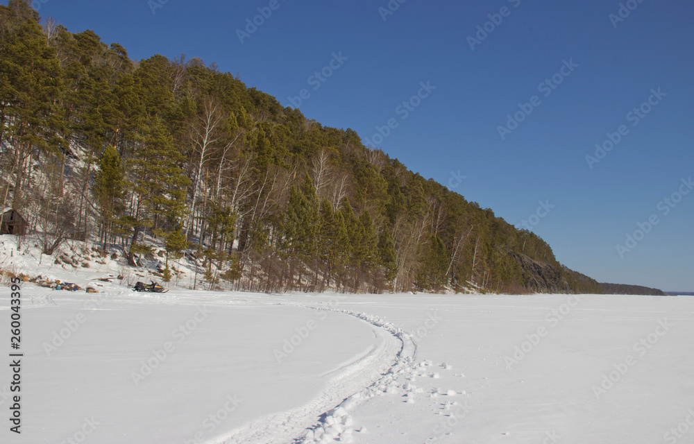rocky shore of the frozen river with tall pine trees