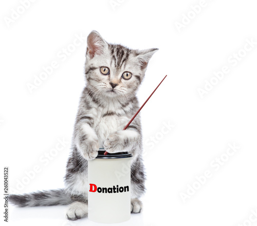 Kitten with a donation can pointing on empty space with stick. isolated on white background