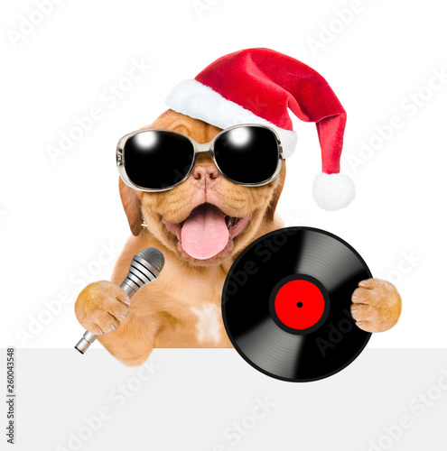 Happy puppy  in red christmas hat and sunglasses holds a vinyl record and microphone above white banner. Isolated on white background © Ermolaev Alexandr