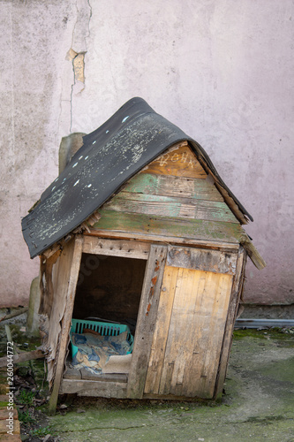 Old wooden house for dog