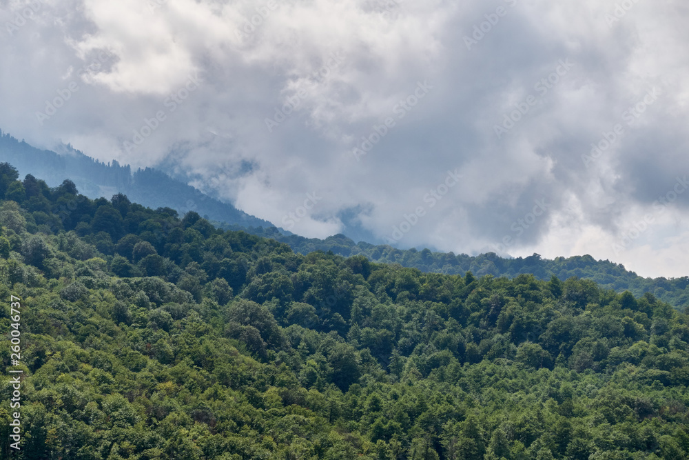 High mountain with green slopes hidden in clouds and fog.