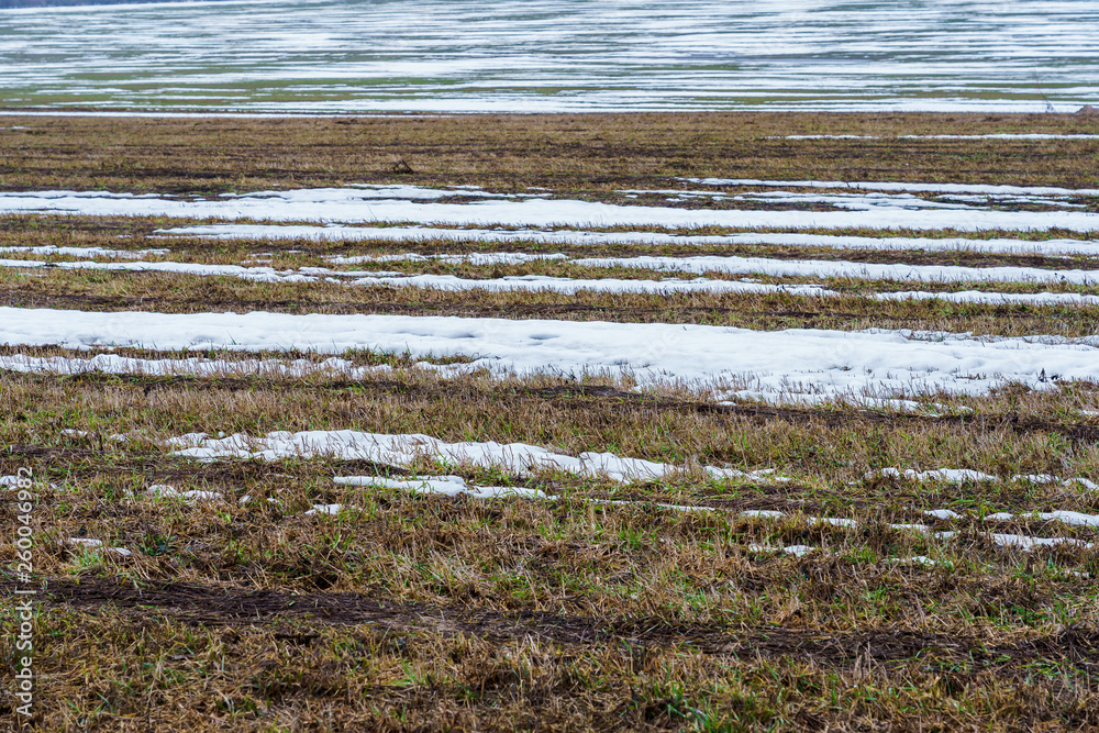 field with melting snow and last year's grass