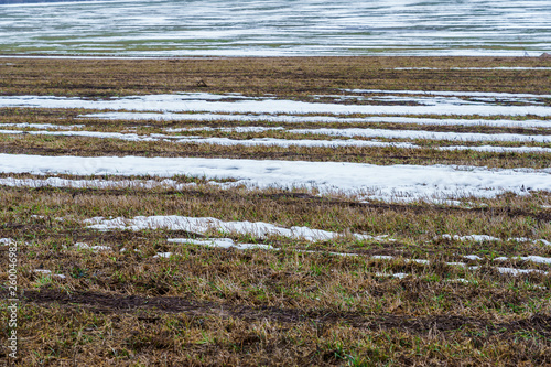 Obraz na płótnie field with melting snow and last year's grass w salonie