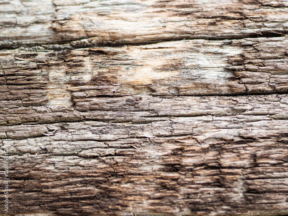 Old natural wooden shabby background close up Old natural wooden shabby background close up
