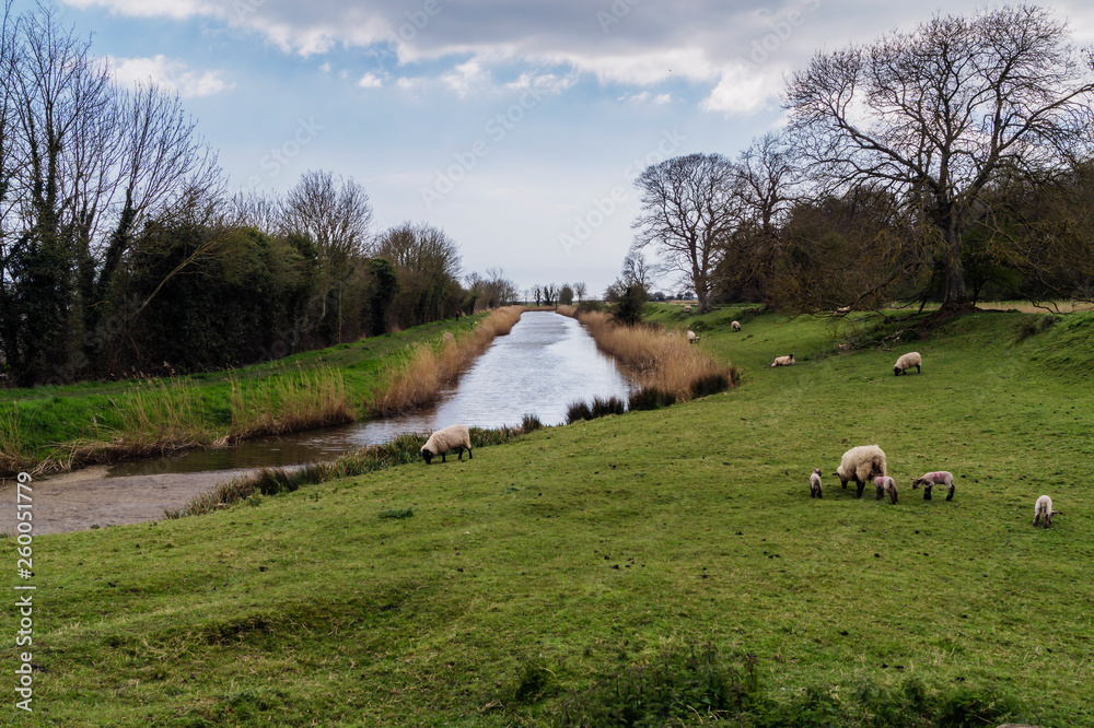 Fototapeta premium Royal Military Canal, Winchelsea