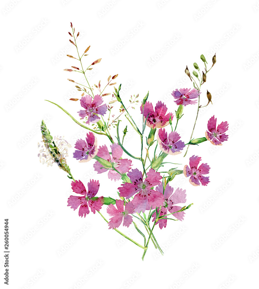 Watercolor bouquet of flowers of wild carnations