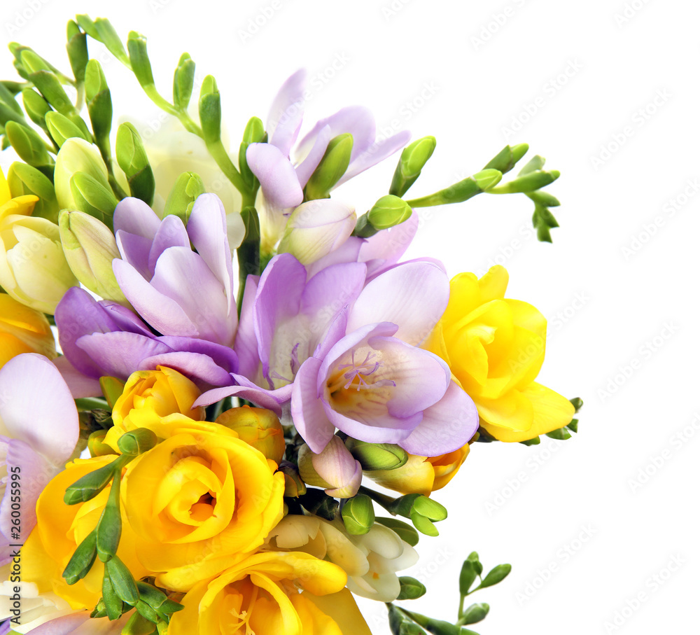 Fototapeta premium Bouquet of fresh freesia flowers isolated on white, top view