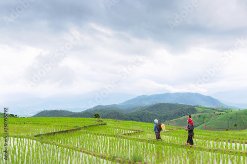 A family of tribal rice farmer, his wife and taking his son in his neck, walking their ricefield during raining. They are watching their crops