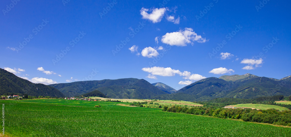 Rural landscape with a green field and the beautiful blue sky