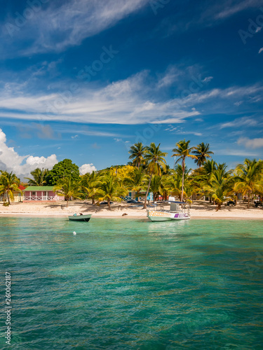 Vertical Caribbean beach at Saona Island Domiican Republic 