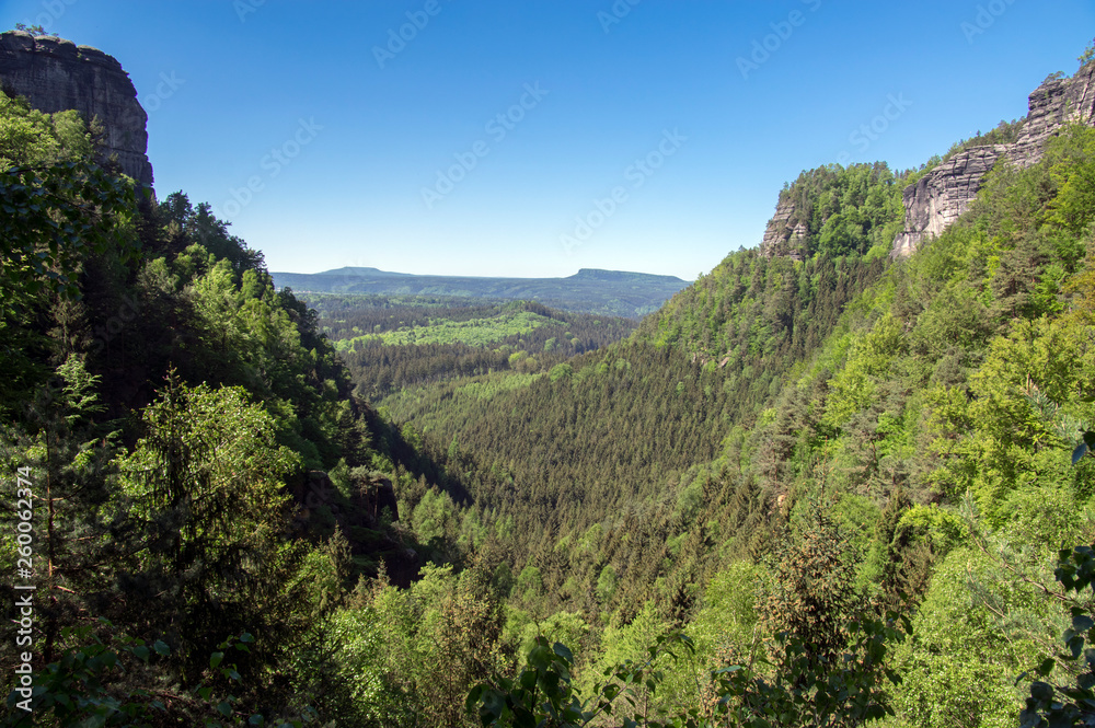 Naklejka premium Wood and rock landscape in Bohemian Switzerland, national natural area with amazing nature, Saxon Switzerland National Park