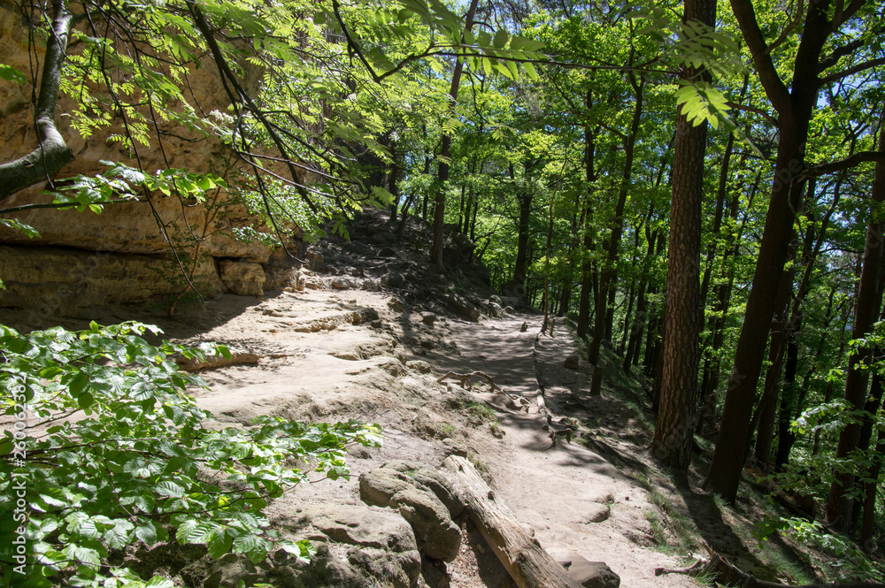 Wood and rock landscape in Bohemian Switzerland, national natural area with amazing nature, Saxon Switzerland National Park Wood and rock landscape in Bohemian Switzerland, national natural area with amazing nature, Saxon Switzerland National Park