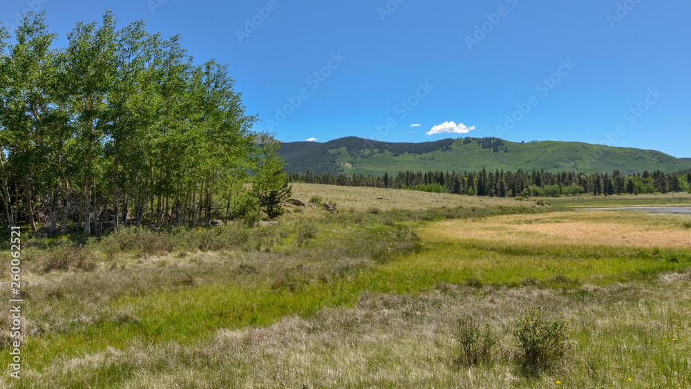 alpine meadow and lake at Kenosha Pass in Rocky Mountains (Park County, Colorado)