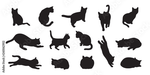 cat vector kitten calico pet cartoon character illustration Silhouette