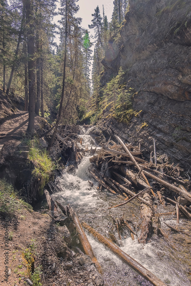 Mountain Stream Mountain Stream