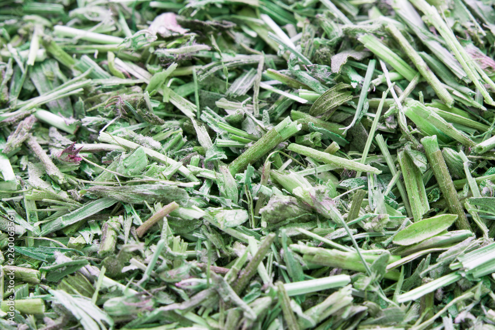 herb thyme to use as food background herb thyme to use as food background