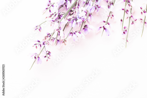 Flowers composition. Pink flowers on pink background. Easter  spring concept. Greeting card.