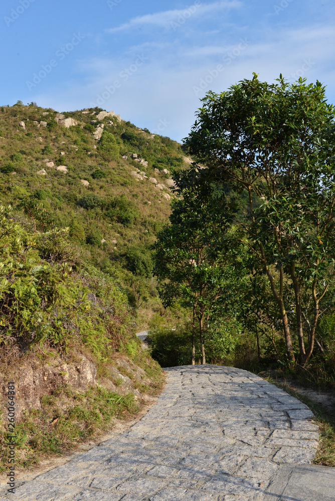 The Lamma Island Family Walk hiking paved path