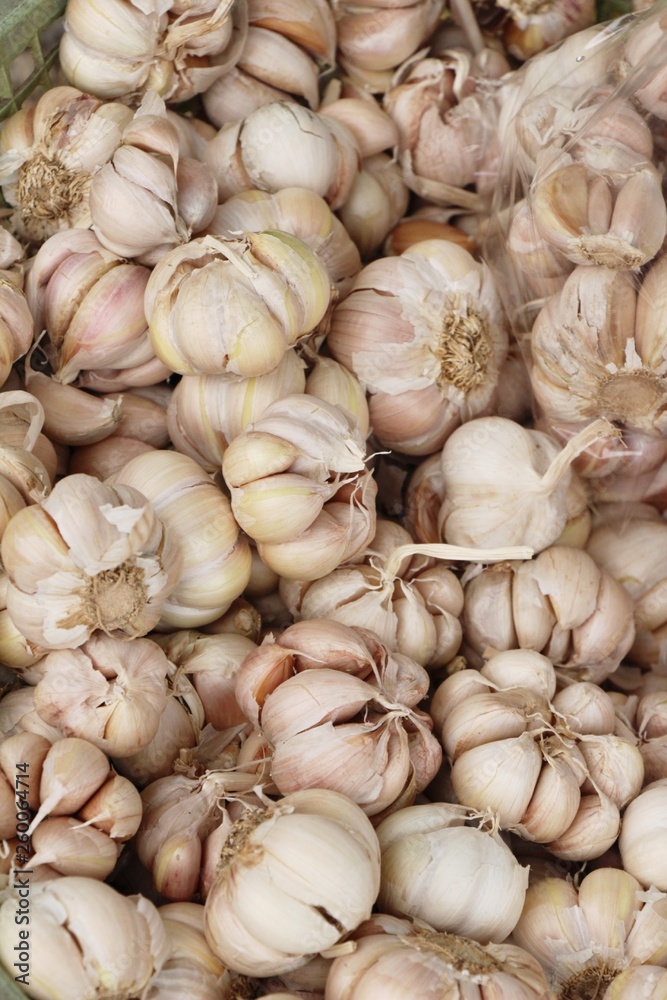 Garlic head for cooking at street food Garlic head for cooking at street food