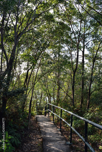 Paved path, from hiking trails on Lamma Island, Hong Kong
