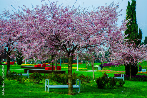 sekapark photo