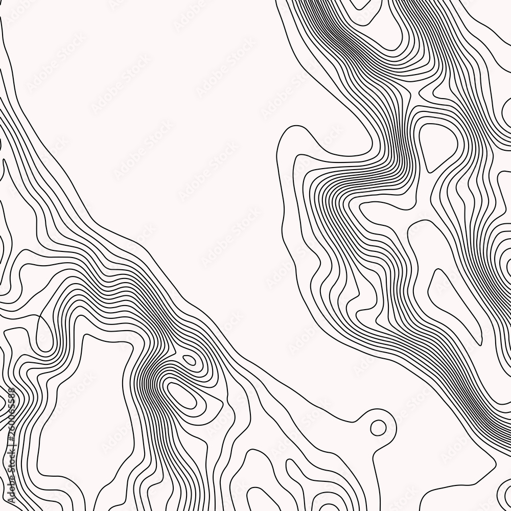 Fototapeta Topographic map. Black lines on white background. Contour abstract background. Vector illustration.