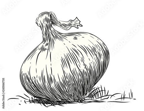 Sweet onion
