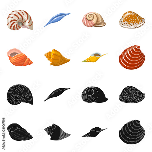 set of sea shells © Svitlana