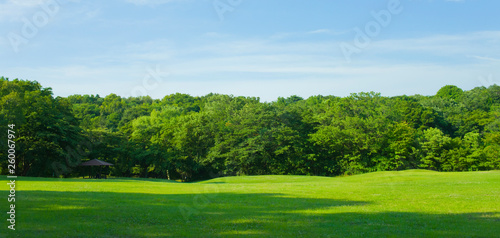 green park , blue sky