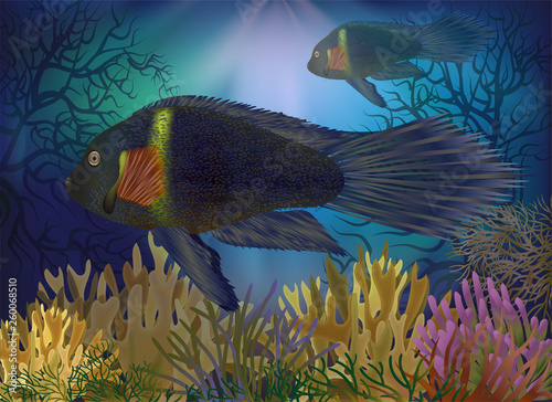 Underwater card with tropical fish, vector illustration