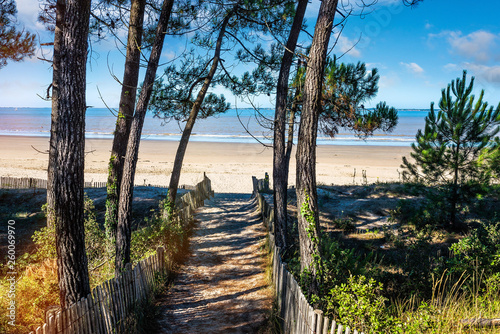 Fototapeta Naklejka Na Ścianę i Meble -  paysage de la côte de charente maritime