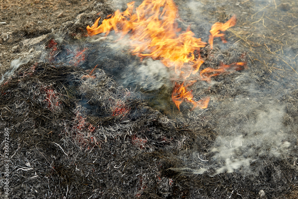 Fire on agricultural land. Flame and burned area in smoke Fire on agricultural land. Flame and burned area in smoke