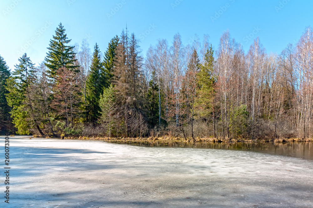 Photo of a reservoir located near the forest Photo of a reservoir located near the forest