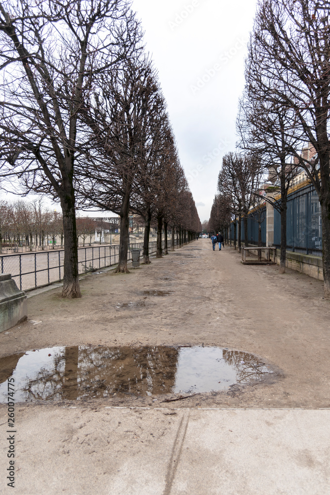 Alignment of trees in a park in Paris. Row Of Trees in winter. Alignment of trees in a park in Paris. Row Of Trees in winter.