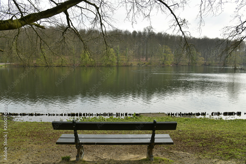 Banc en face de l'étang du Château aux berges érodées au parc de Tervuren à l'est de Bruxelles Banc en face de l'étang du Château aux berges érodées au parc de Tervuren à l'est de Bruxelles