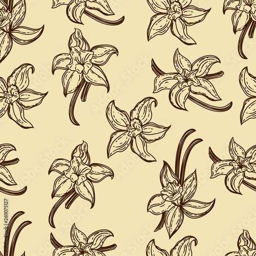 Seamless pattern of vanilla in the engraving style.