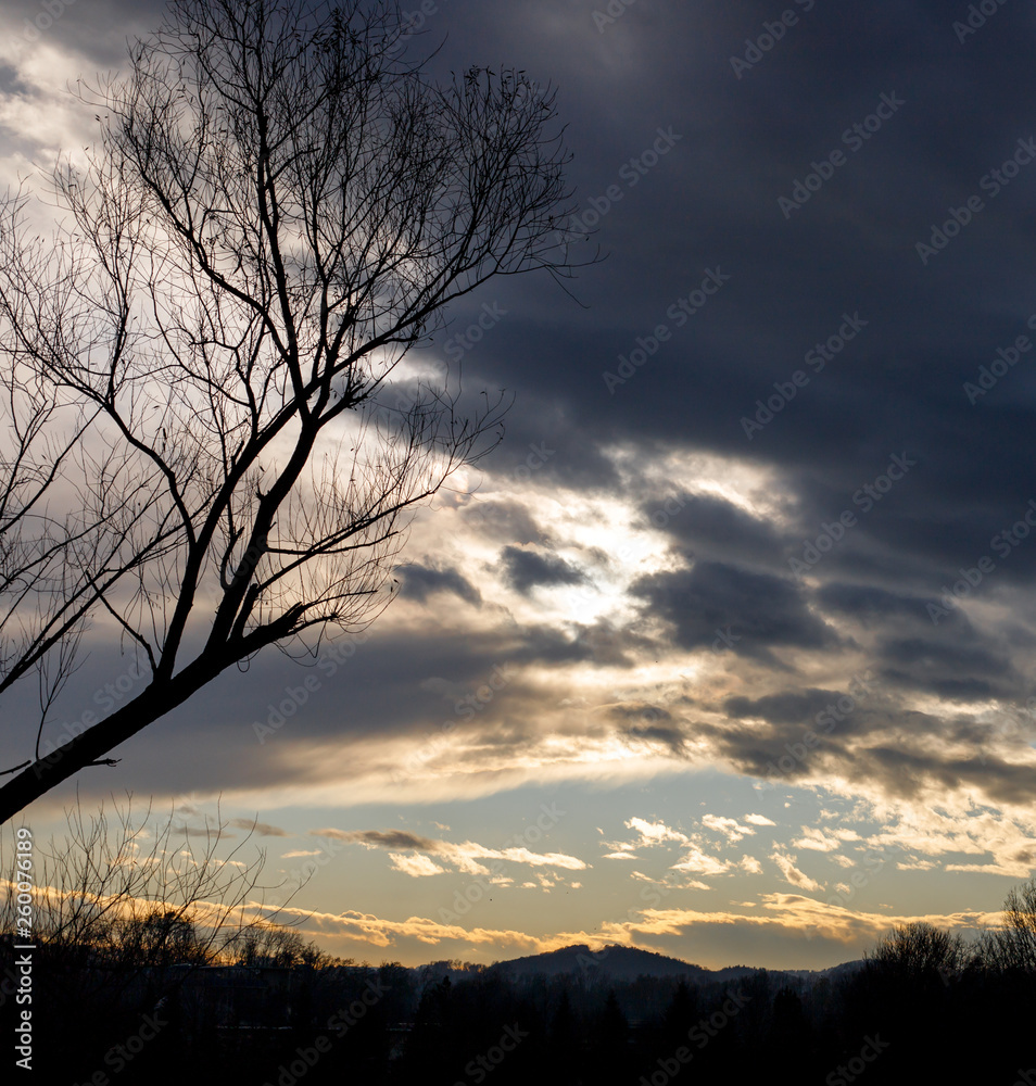 colorful sunset with hills, clouds and trees colorful sunset with hills, clouds and trees
