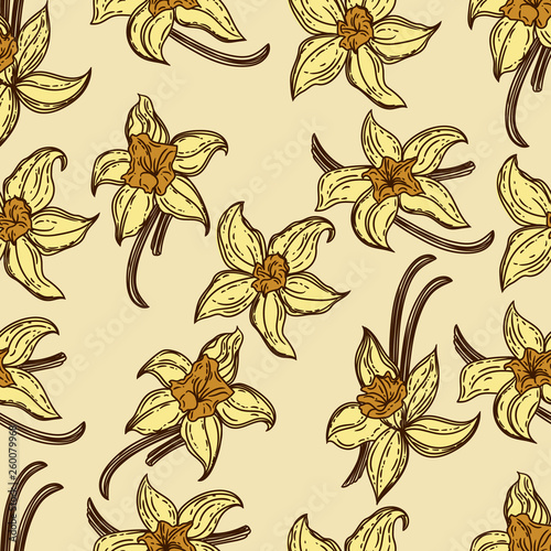 Seamless pattern of vanilla flower. © Marina