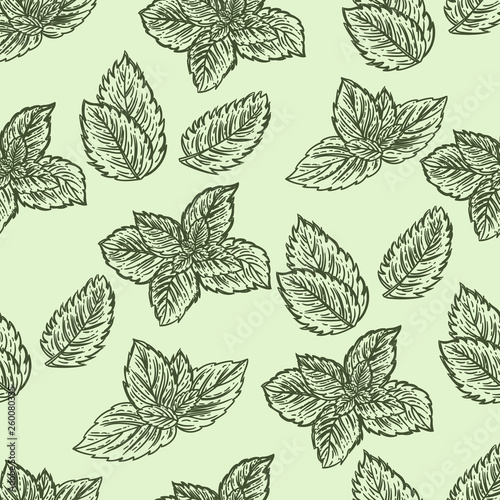 Seamless hand drawn pattern of mint leaves.